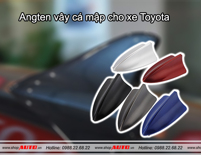 angten vây cá mập cho xe Toyota Yaris