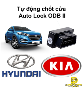 Tự động chốt cửa xe ô tô dòng Kia / Hyundai